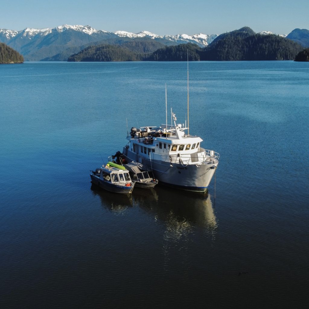 dji_fly_20230517_063632_375_1684334202252_photo_optimized